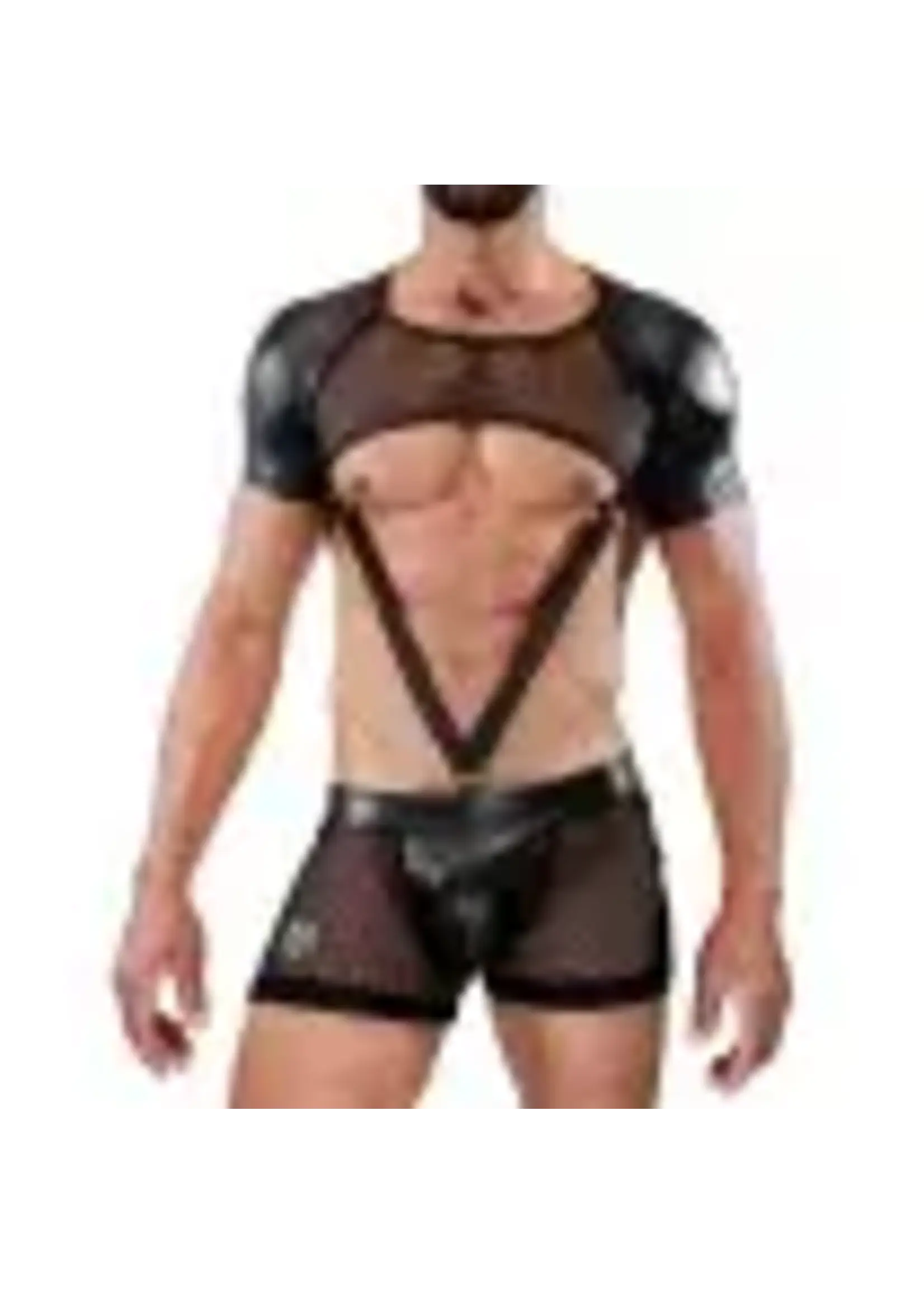 T.O.F T.O.F. Spartacus Full Harness