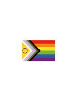 Flags Importer Inclusive Pride Flag 3x5