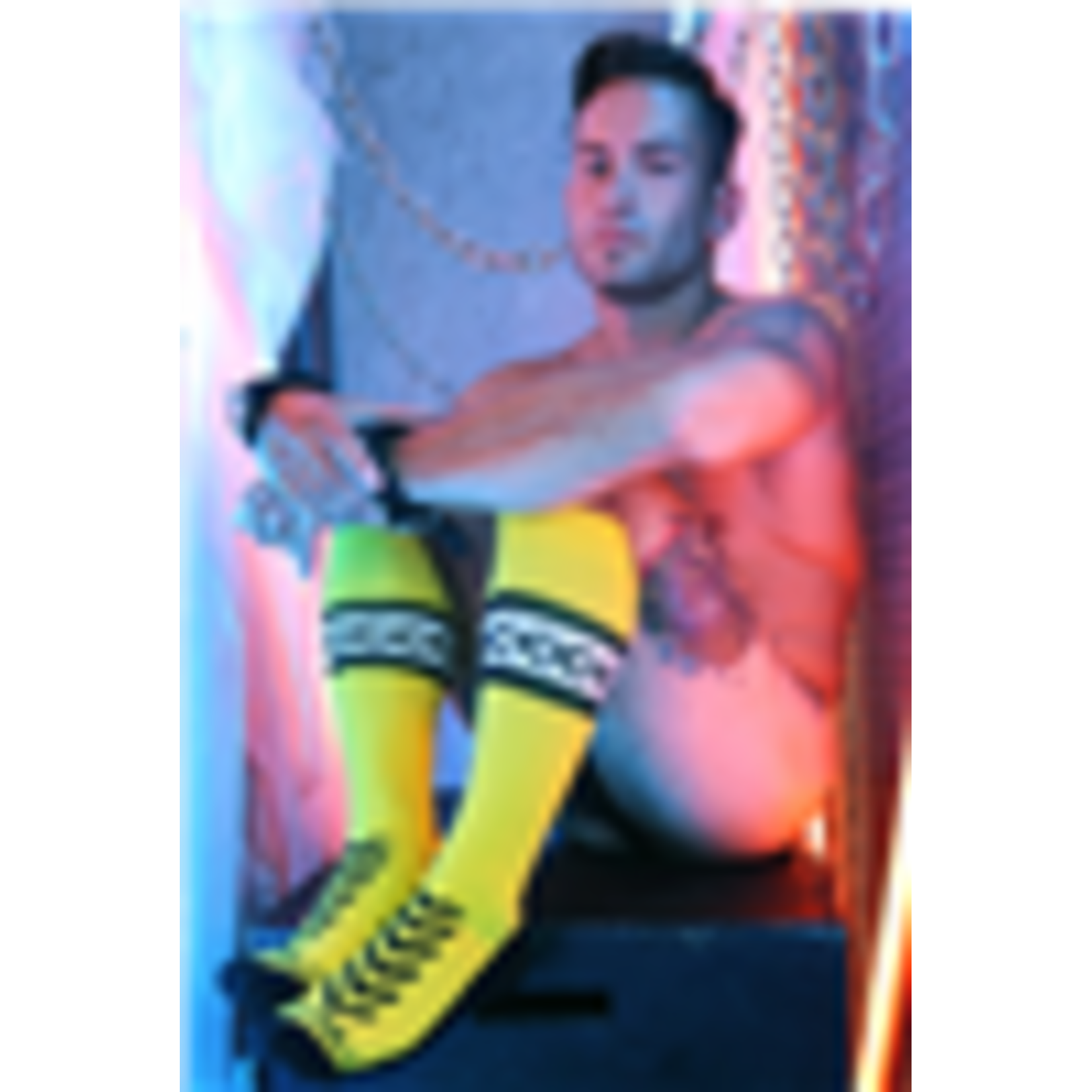 Breedwell Gear Daddy's Favorite Socks