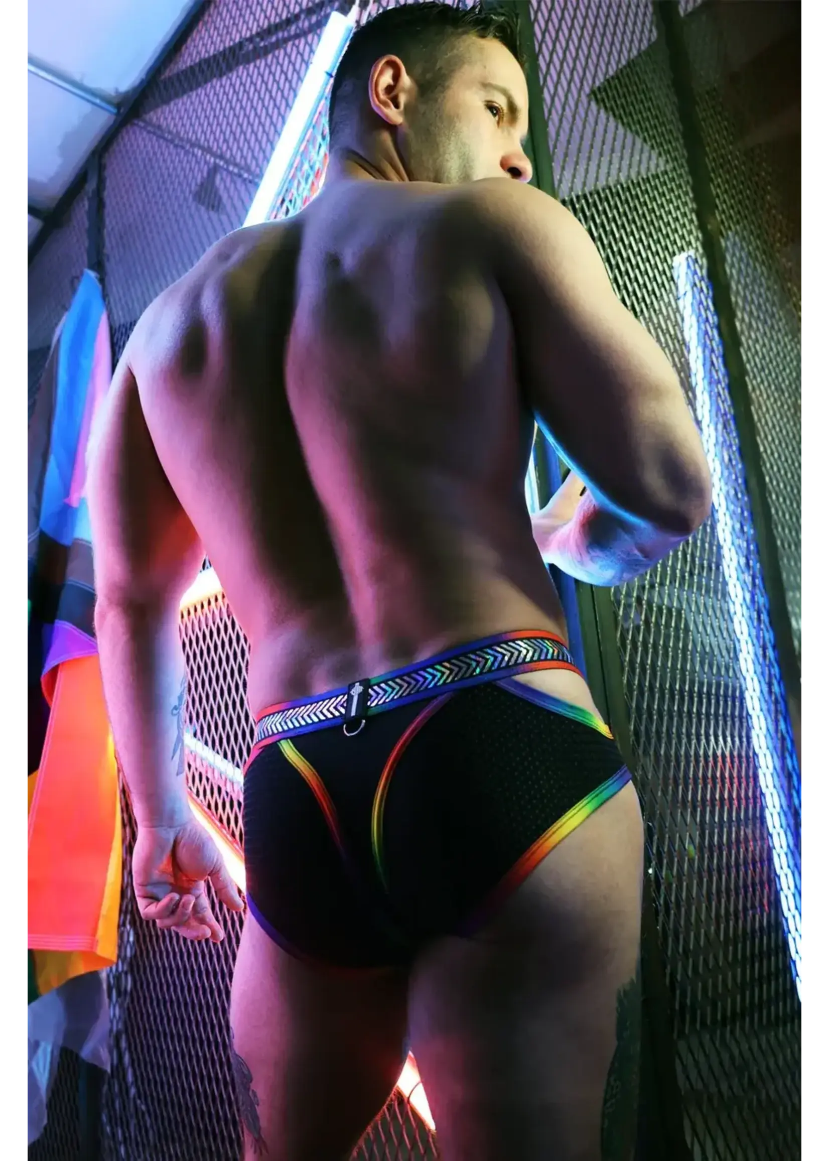 Breedwell Gear Pure Pride Brief