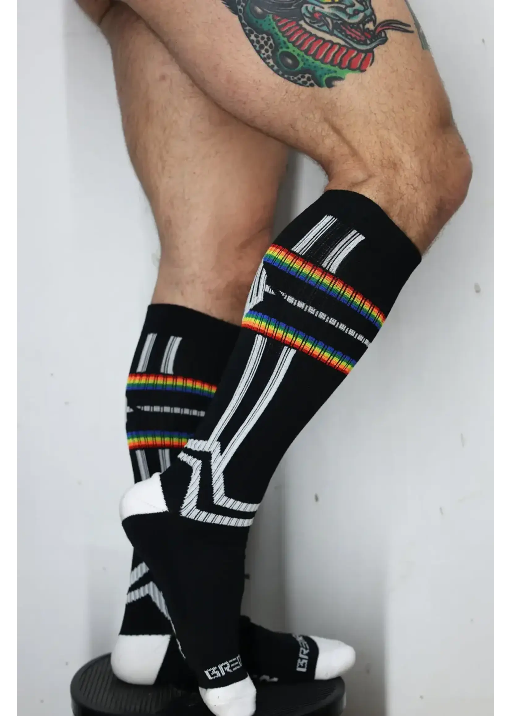 Breedwell Gear Pure Pride Socks