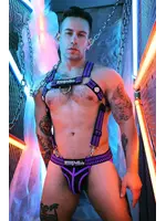 Breedwell Gear Purpleicious Hybred Body Harness