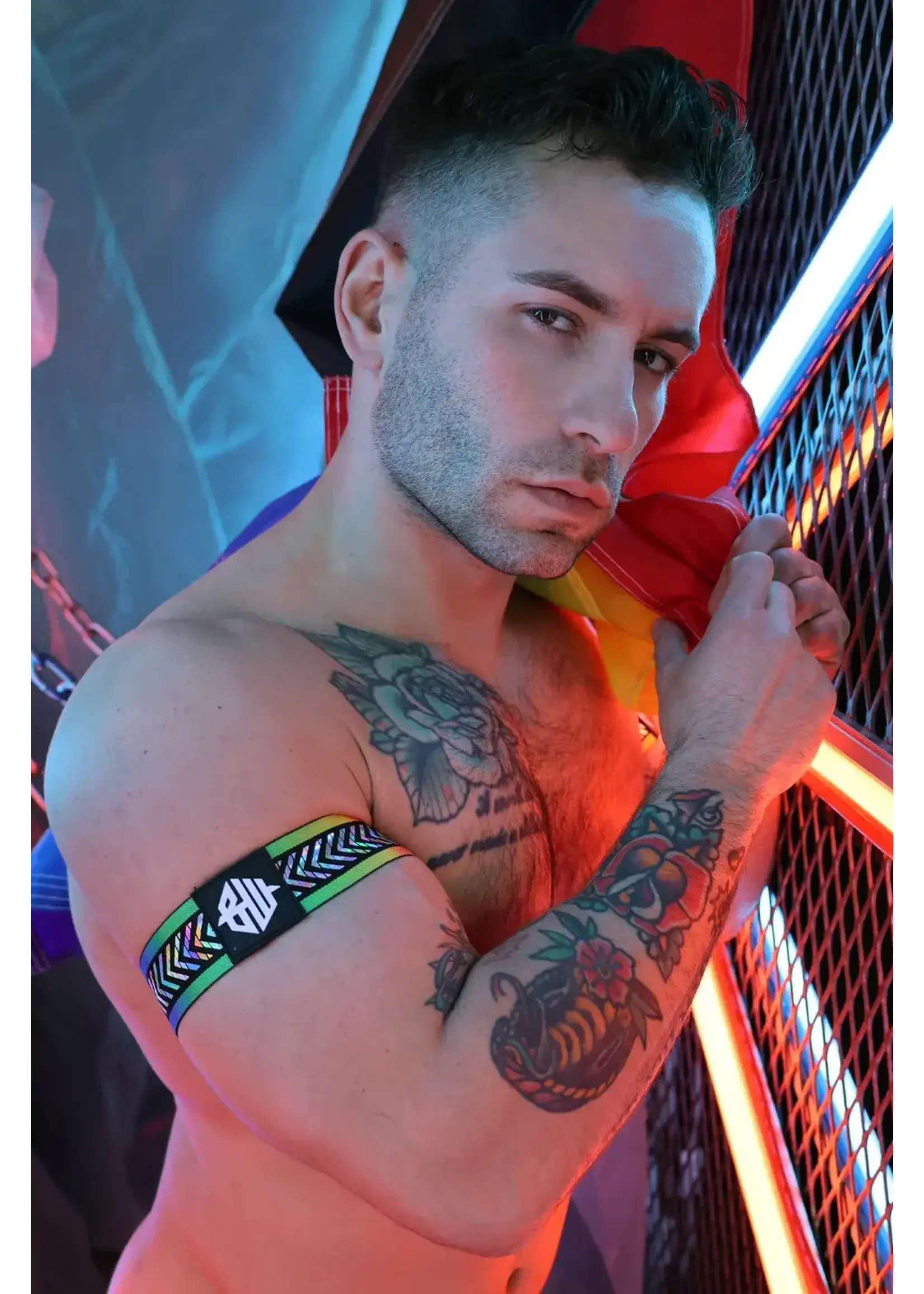 Breedwell Gear Pure Pride Armbands