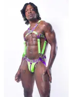 *ssTricks Pixelation Harness