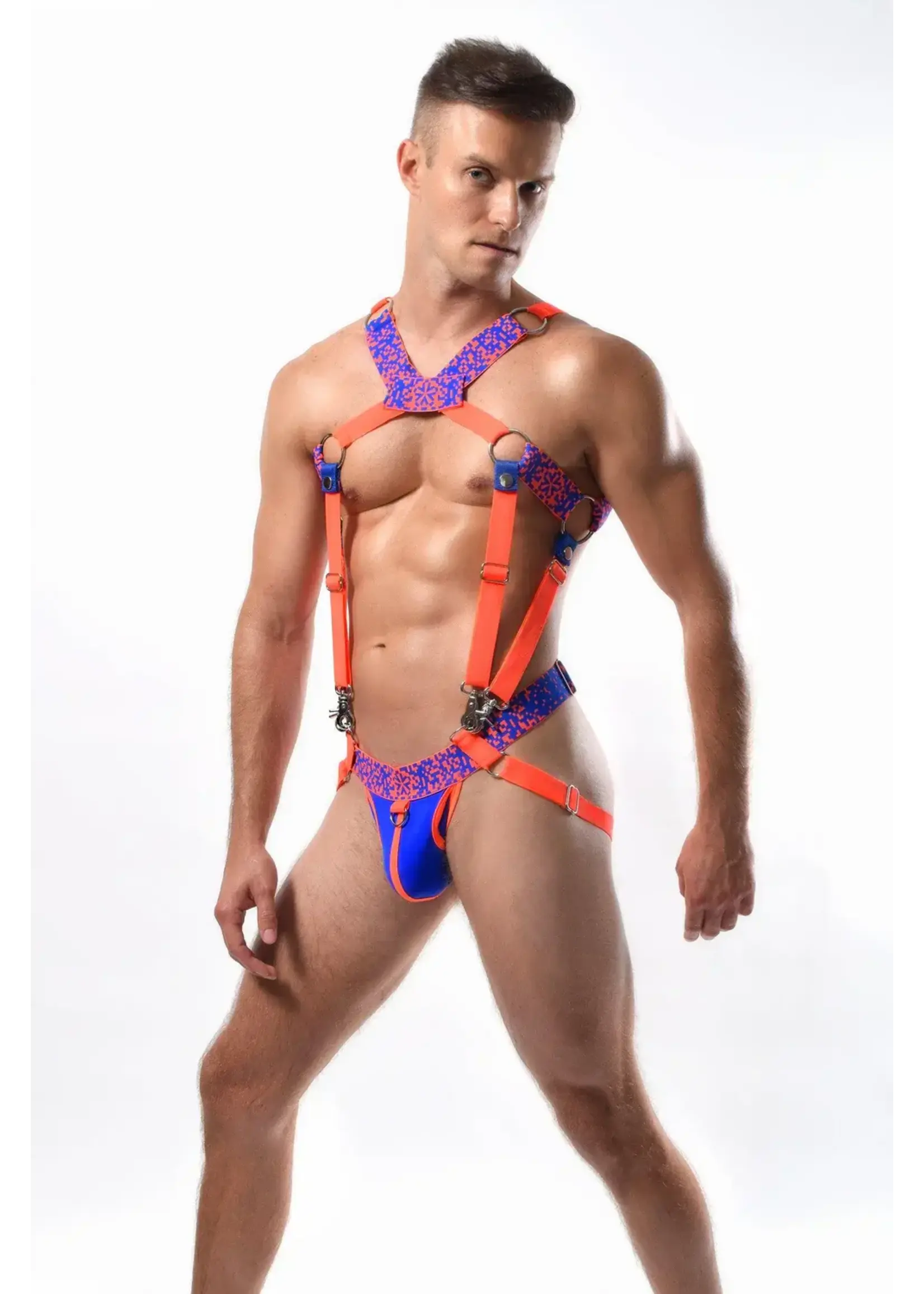 *ssTricks Pixelation Harness