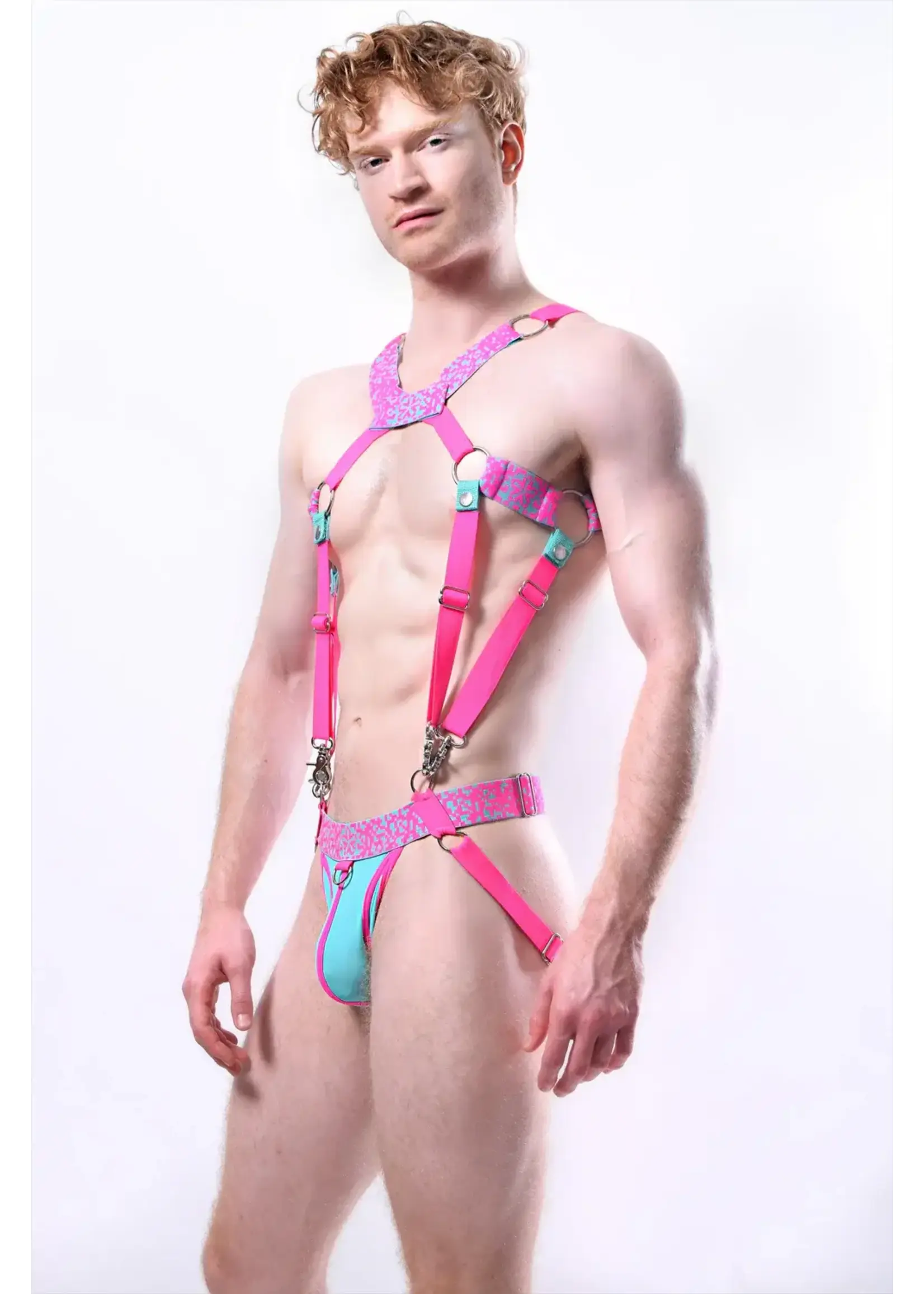*ssTricks Pixelation Harness