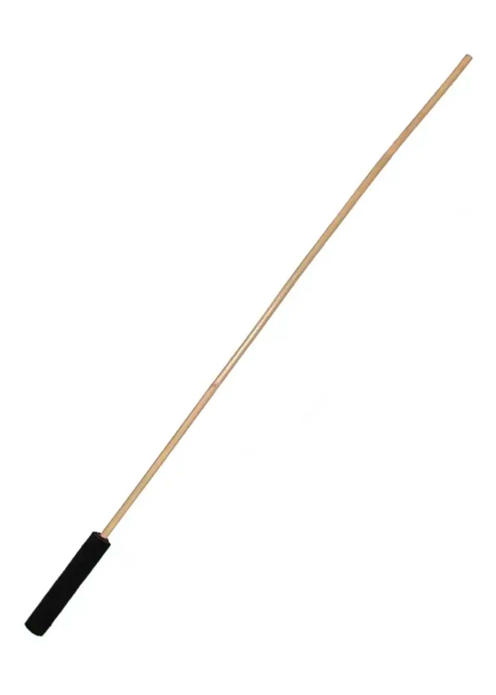The StockRoom Rattan Cane w/ Suede Handle