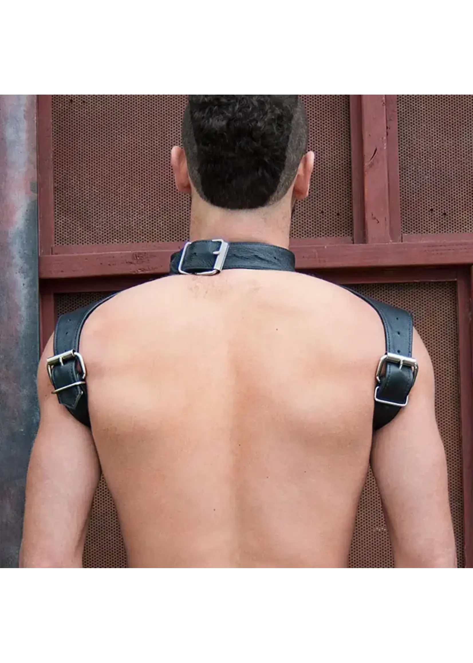 The StockRoom The Combat Harness