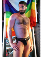 Breedwell Gear Icon Pride Brief