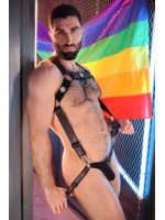 Breedwell Gear Icon Pride Body Harness
