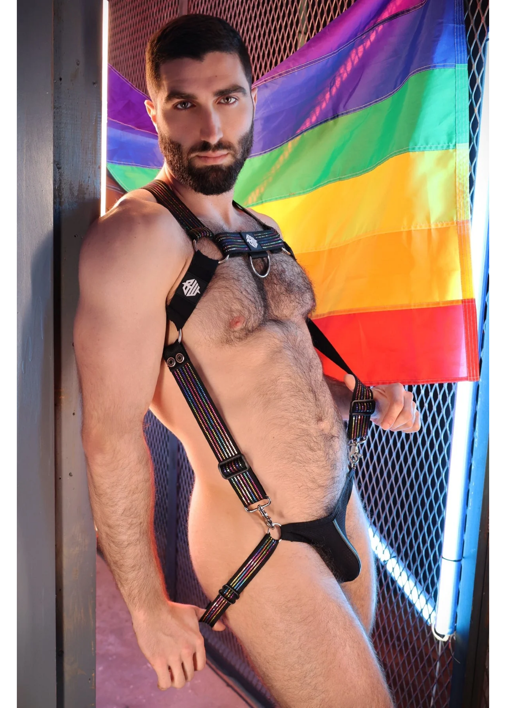 Breedwell Gear Icon Pride Body Harness