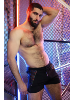 Breedwell Gear Icon Pride Shorts