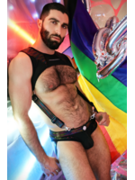 Breedwell Gear Icon Pride Tank Harness