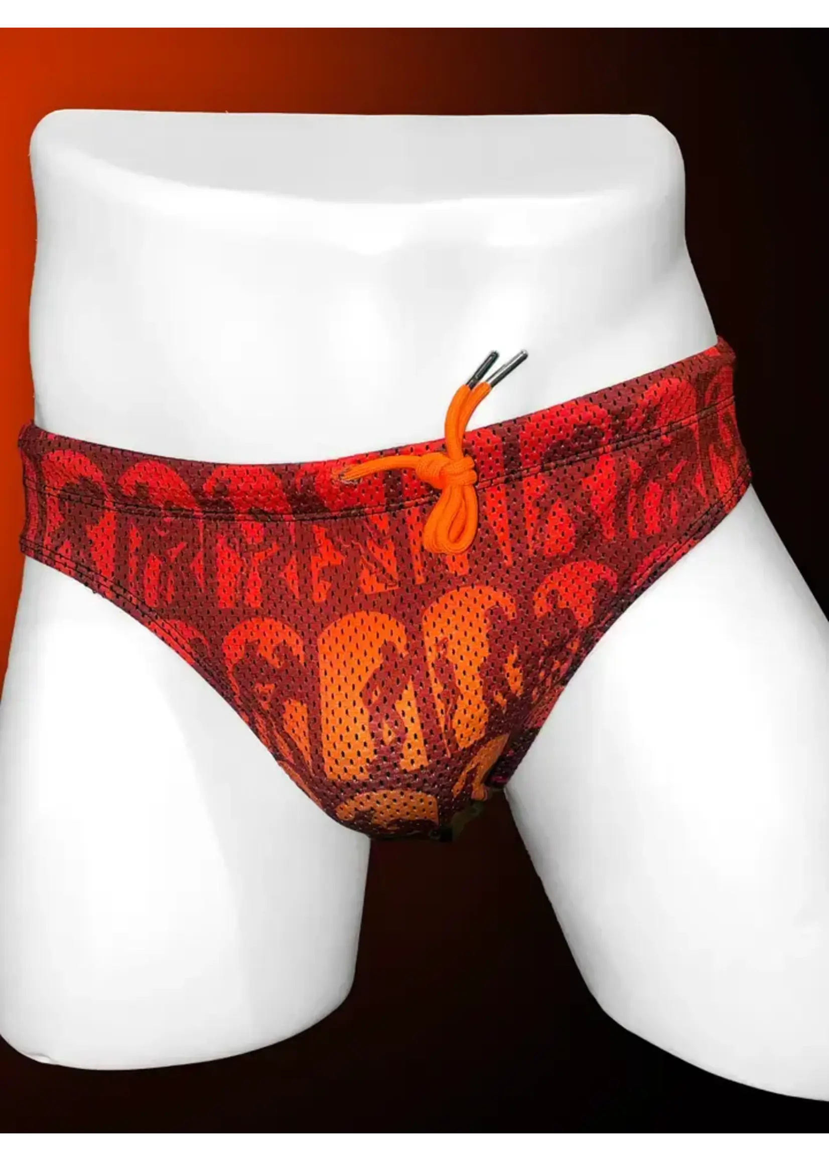 Peachy Kings SWIM Tom of Finland "Silho-Wet" Mesh Swim Brief
