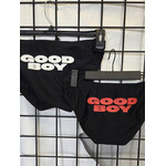 Yes Homo Good Boy Swim Brief