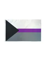 Flags Importer Demisexual Flag 3x5