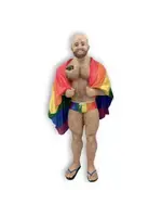 December Diamonds Pride Month Bear