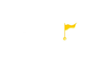 Flags Importer