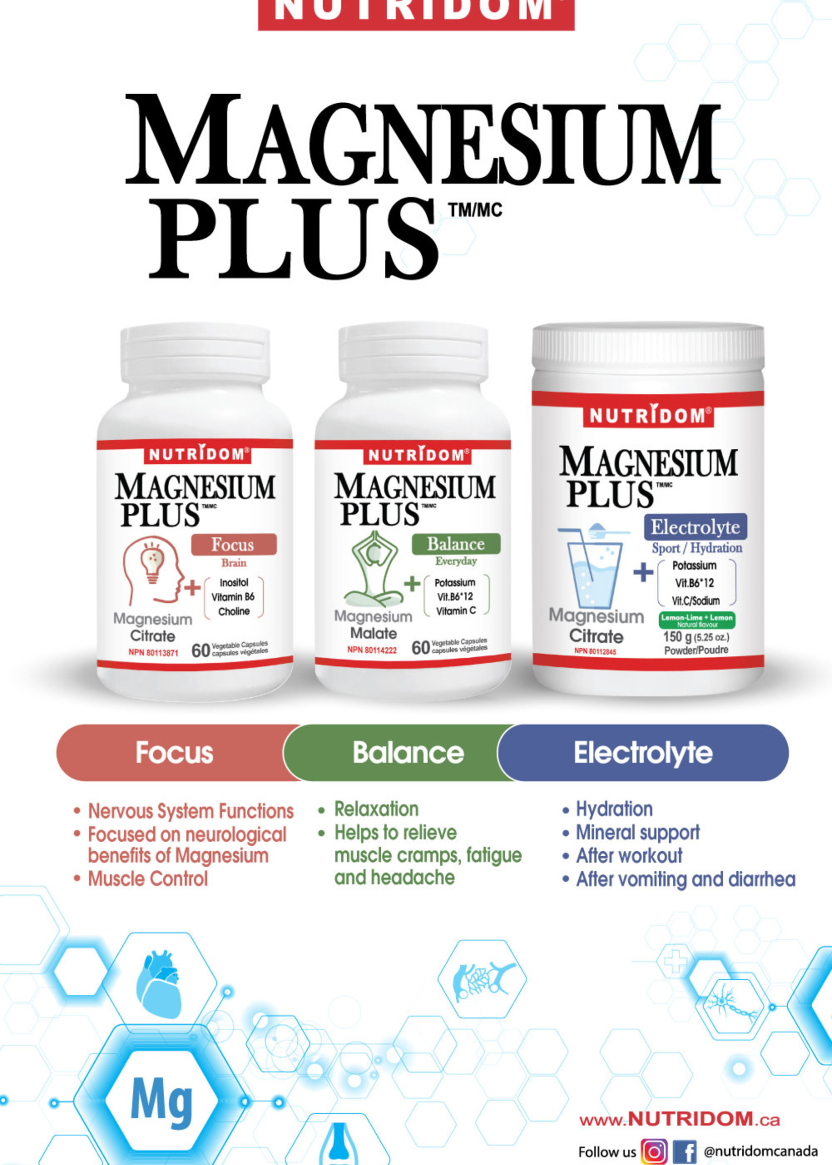 Nutridom Magnesium plus Focus (bouteille + 60 caps) - Nutridom
