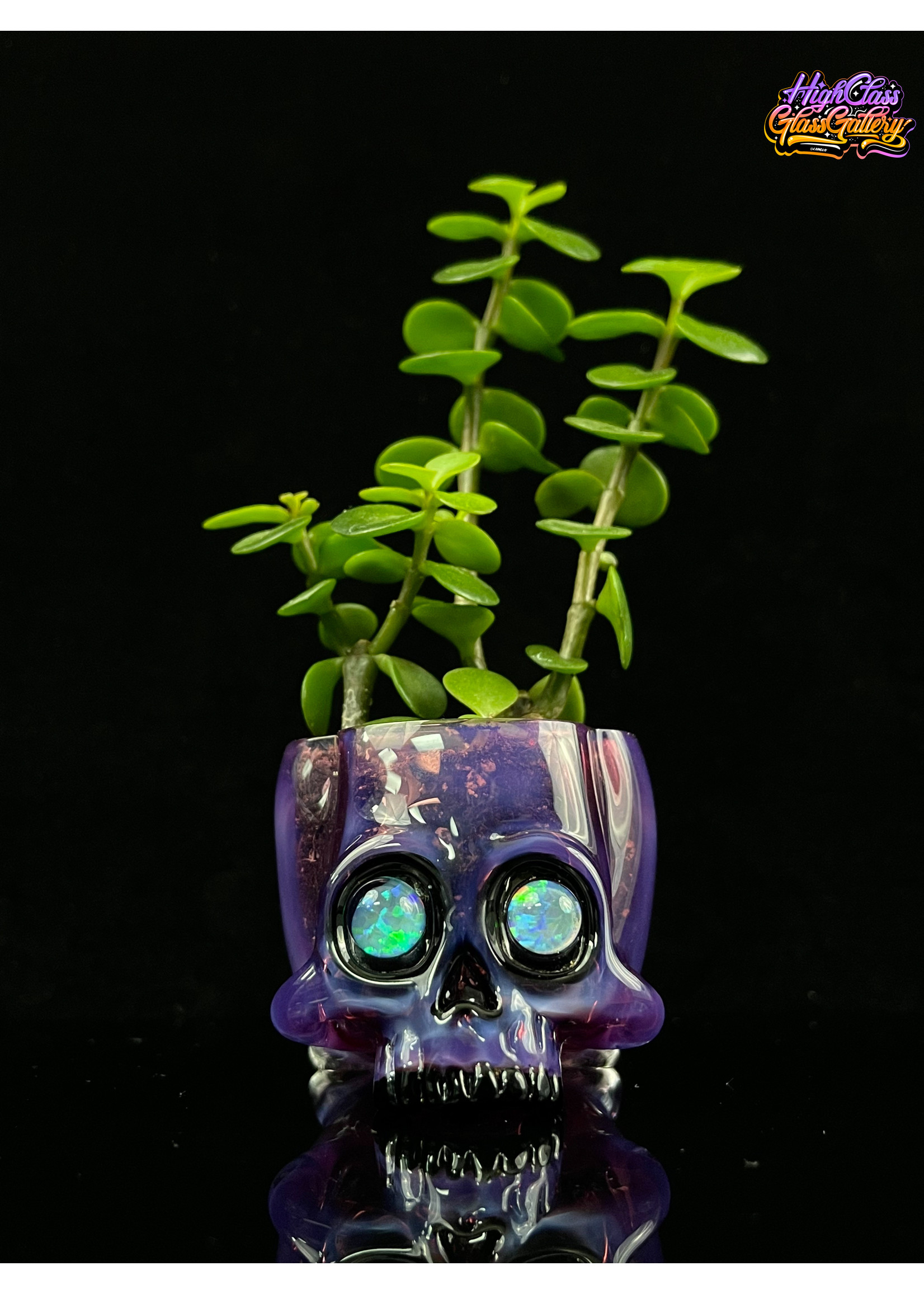 Artist AKM Bonsai Tree Skull