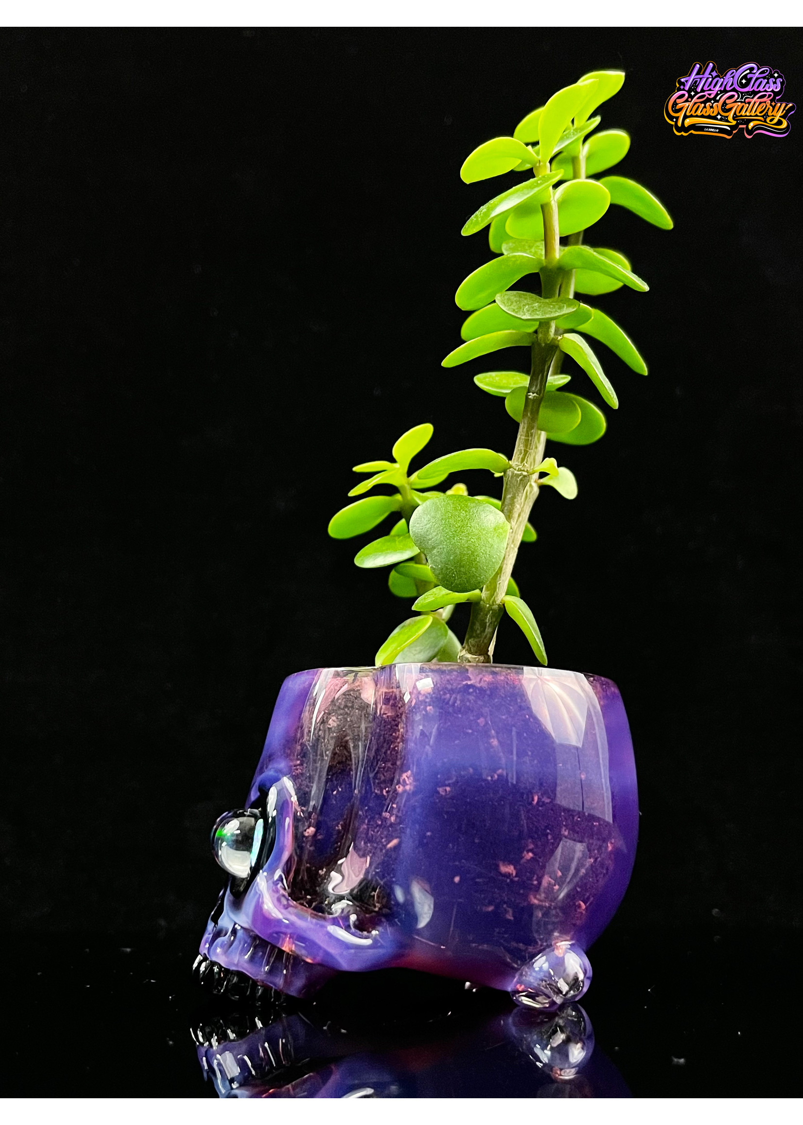 Artist AKM Bonsai Tree Skull
