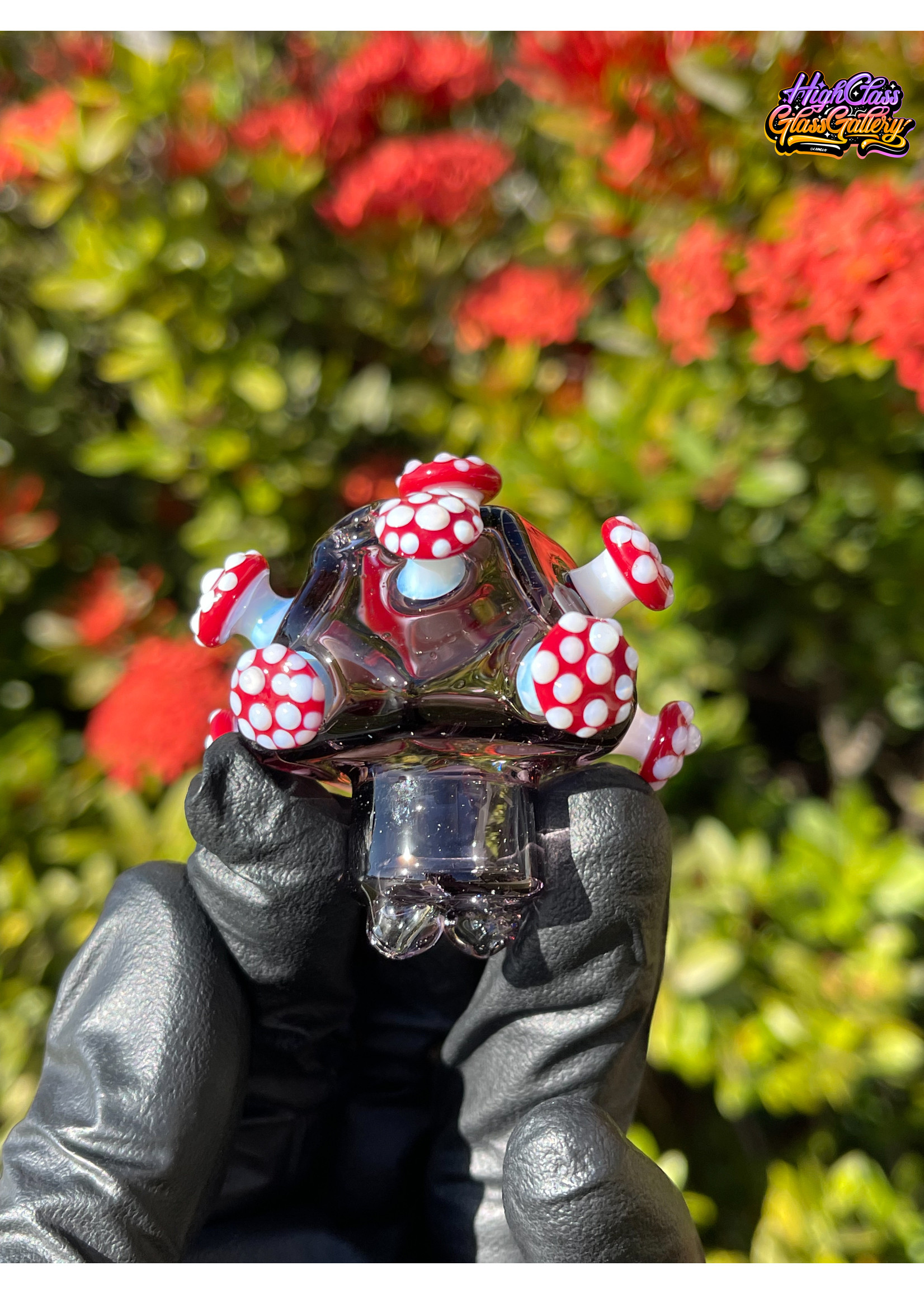 Artist Kuhns X Snic Barnes Geo Traveler