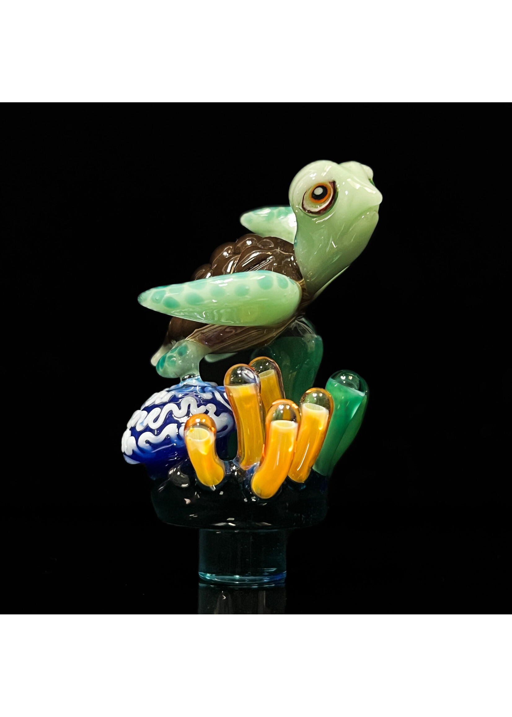 Artist Joe P Sea Life Solid Caps