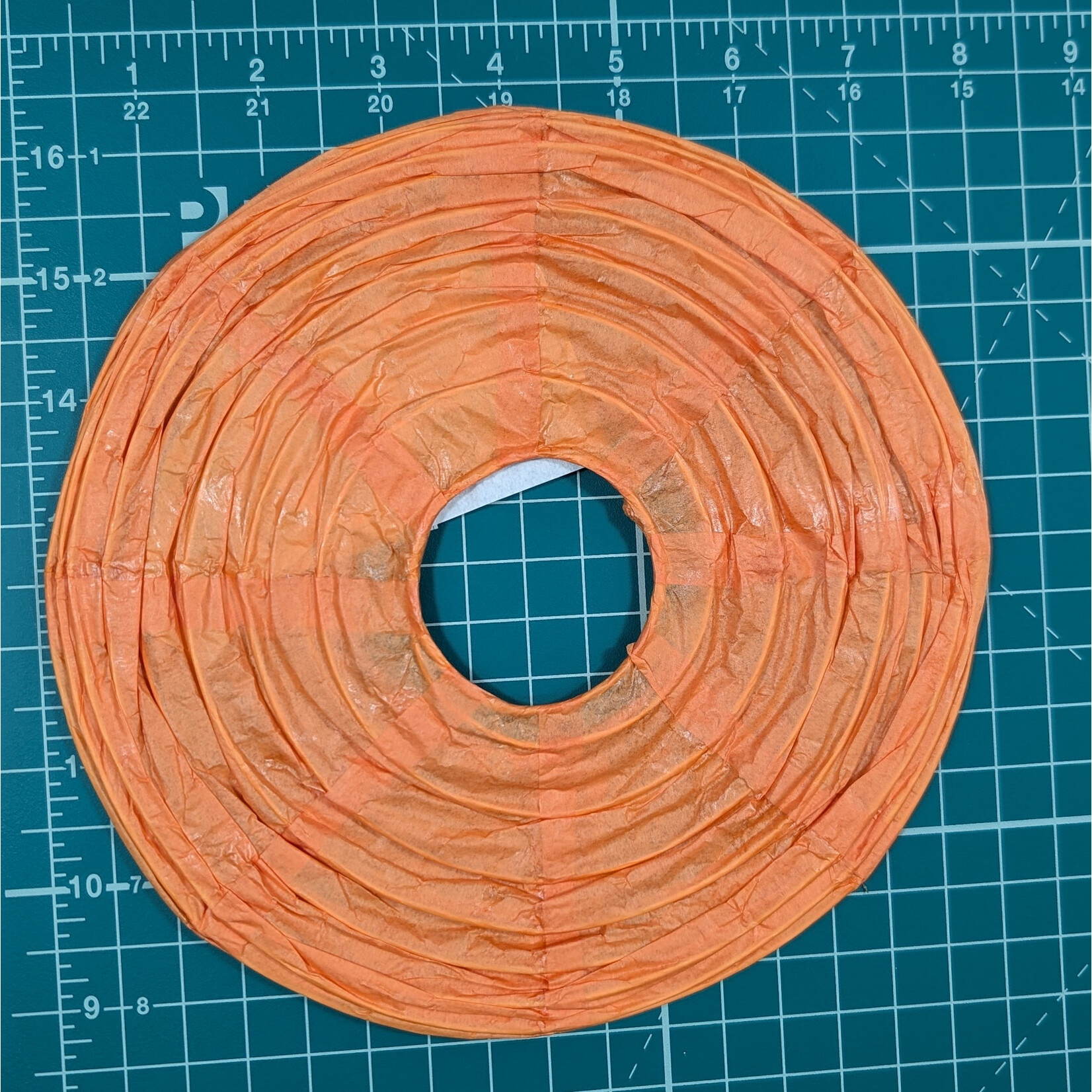 8" Paper Lantern -  Orange