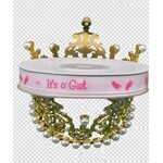 3/8" x 25 Yards "It's a Girl" Grosgrain Ribbon White/Fuchsia