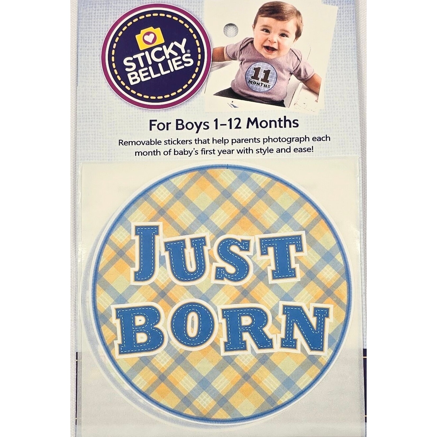 Sticky Bellies - 13 Stickers 12 Months 4" Baby Stickers