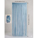 Matte Foil Fringe Curtain3 ft x 8ft -