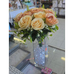 Rose Bush x 18 -
