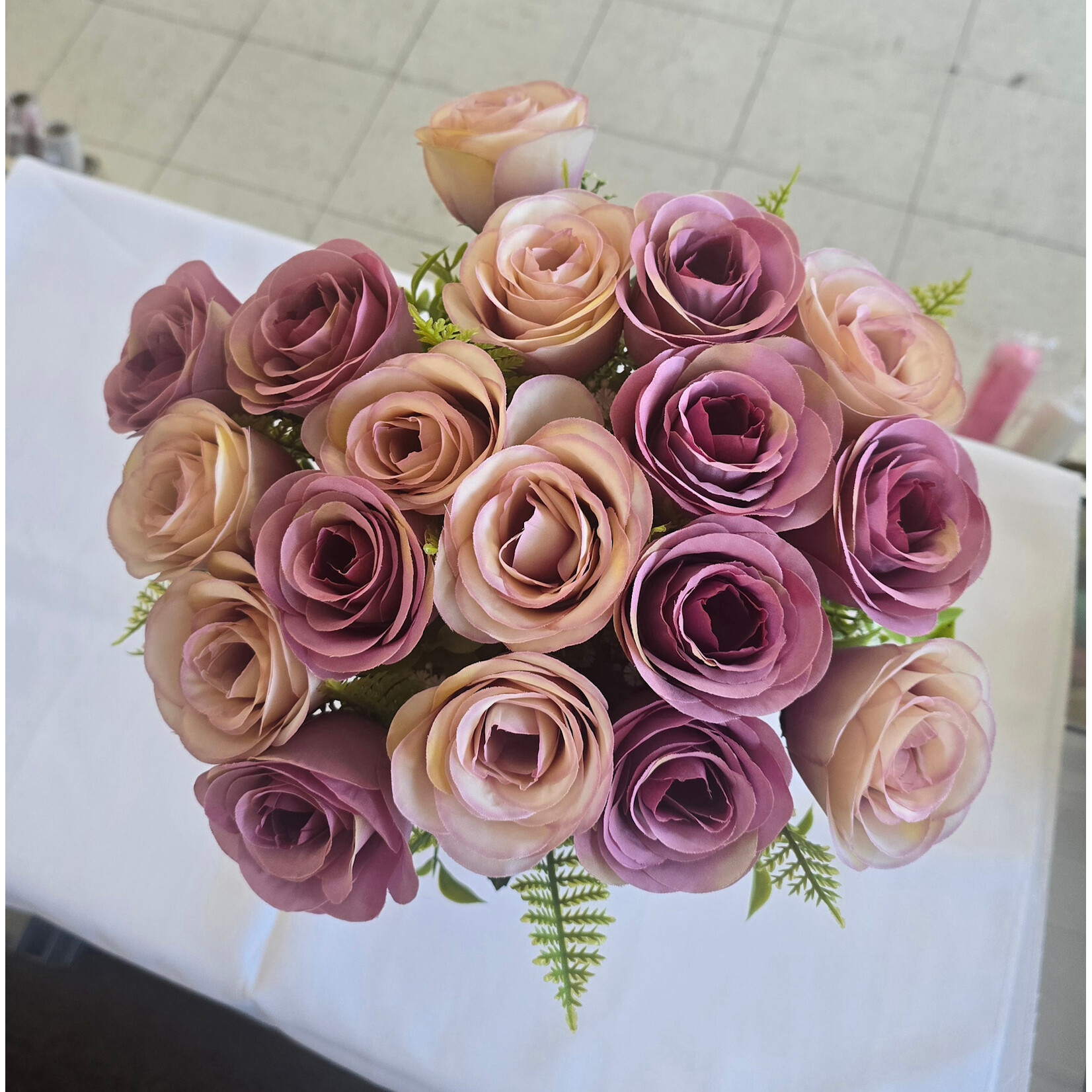 Rose Bush x 18 -