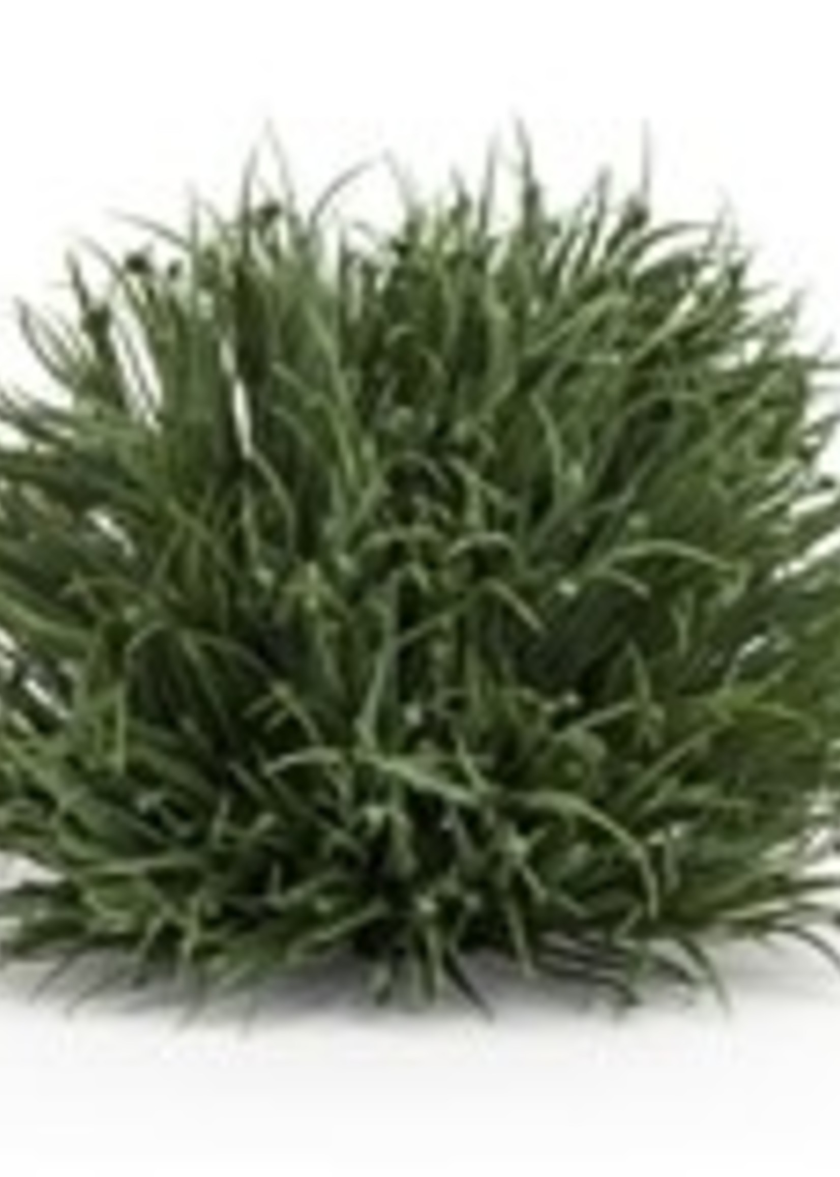 Melrose Grass Half Orb 7"