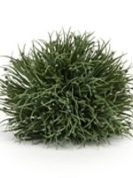 Melrose Grass Half Orb 6"