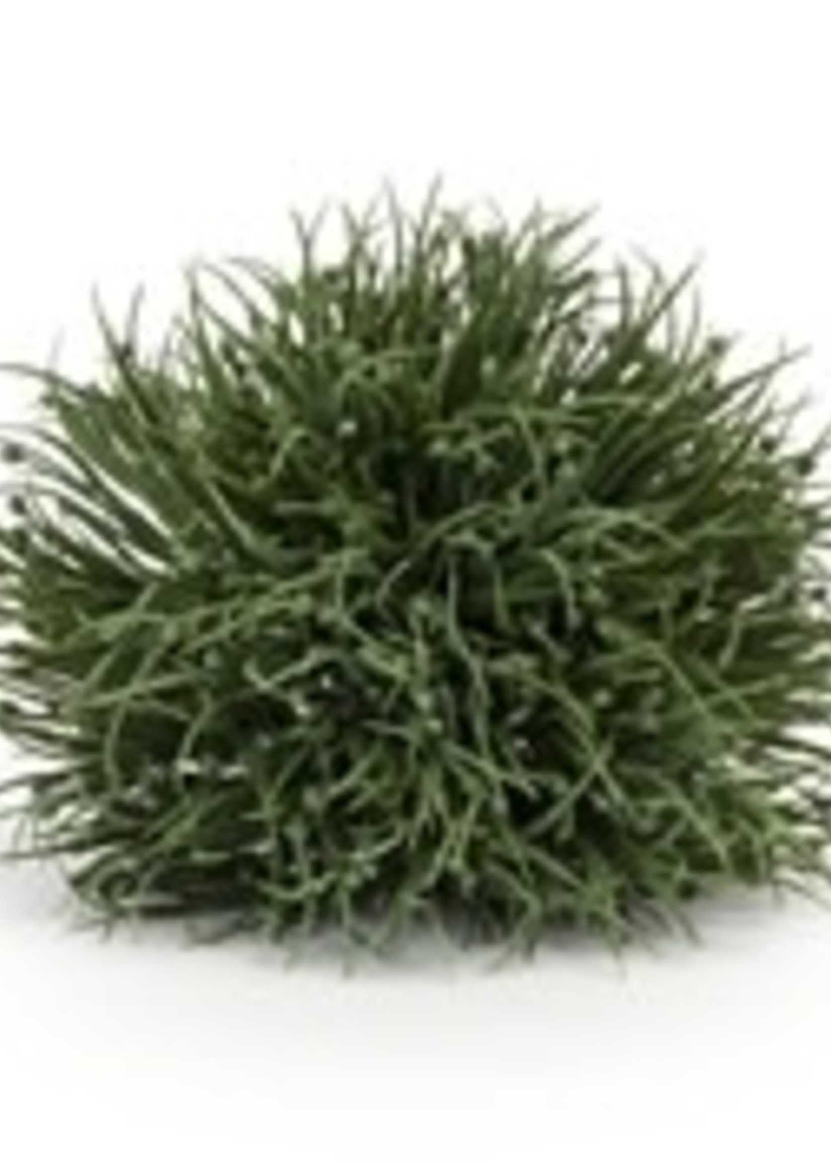 Melrose Grass Half Orb 6"