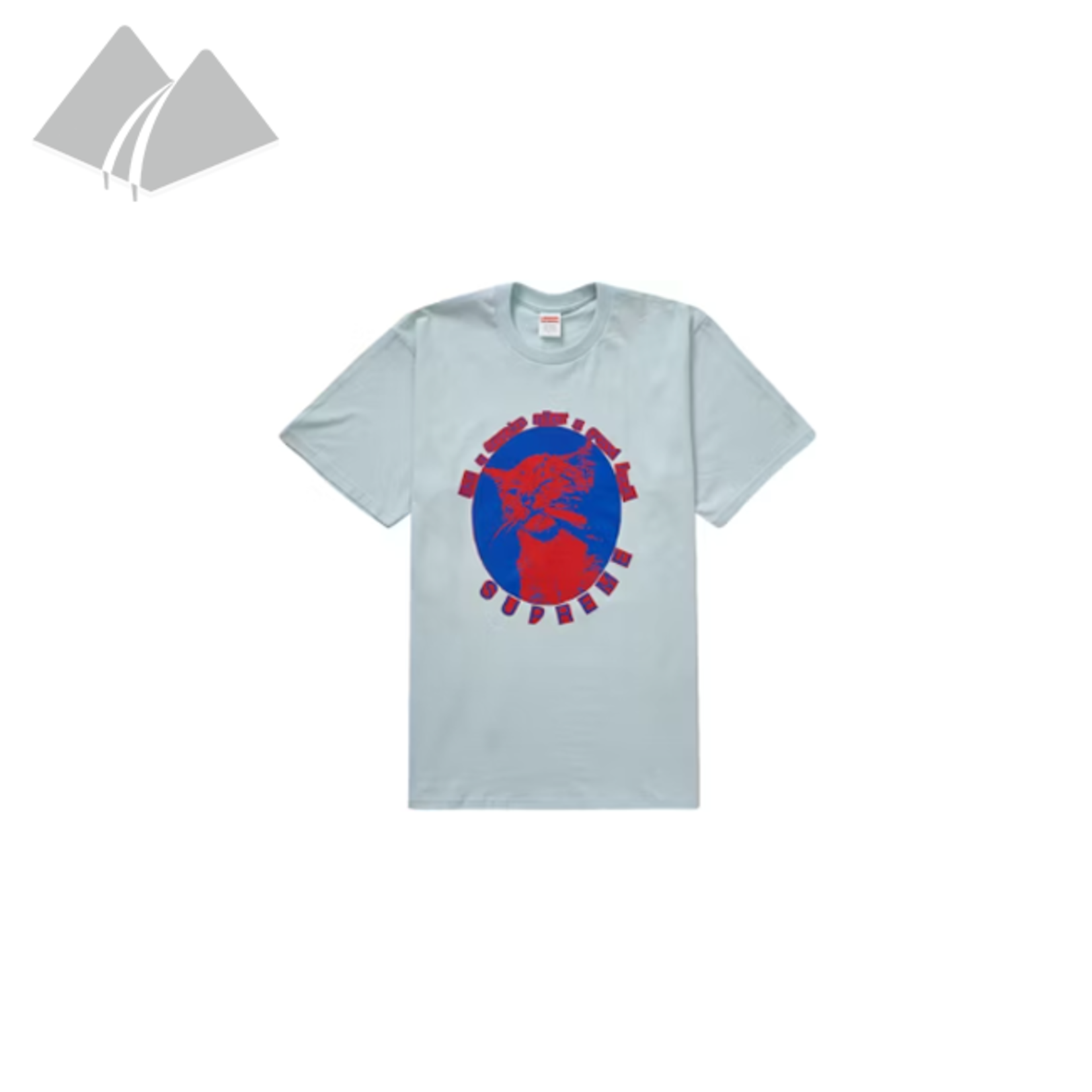 Supreme Supreme Tee Smoke Tee (SS23) Pale Blue