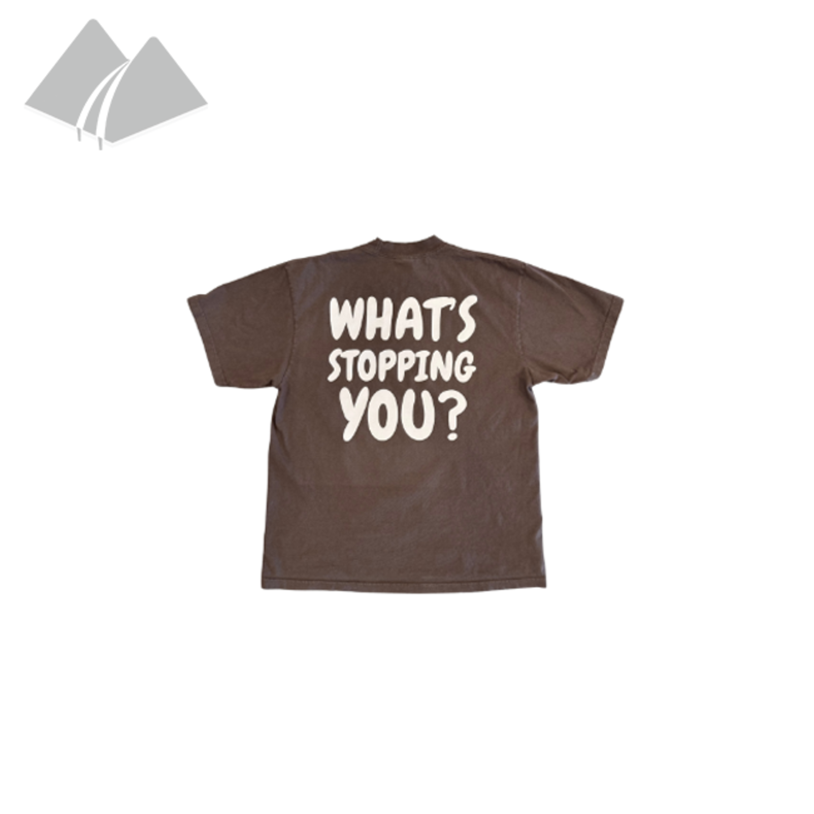 The Valley The Valley Tee What Stopping You? Mocha (SS24)