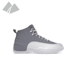 Jordan Jordan 12 (M) Stealth