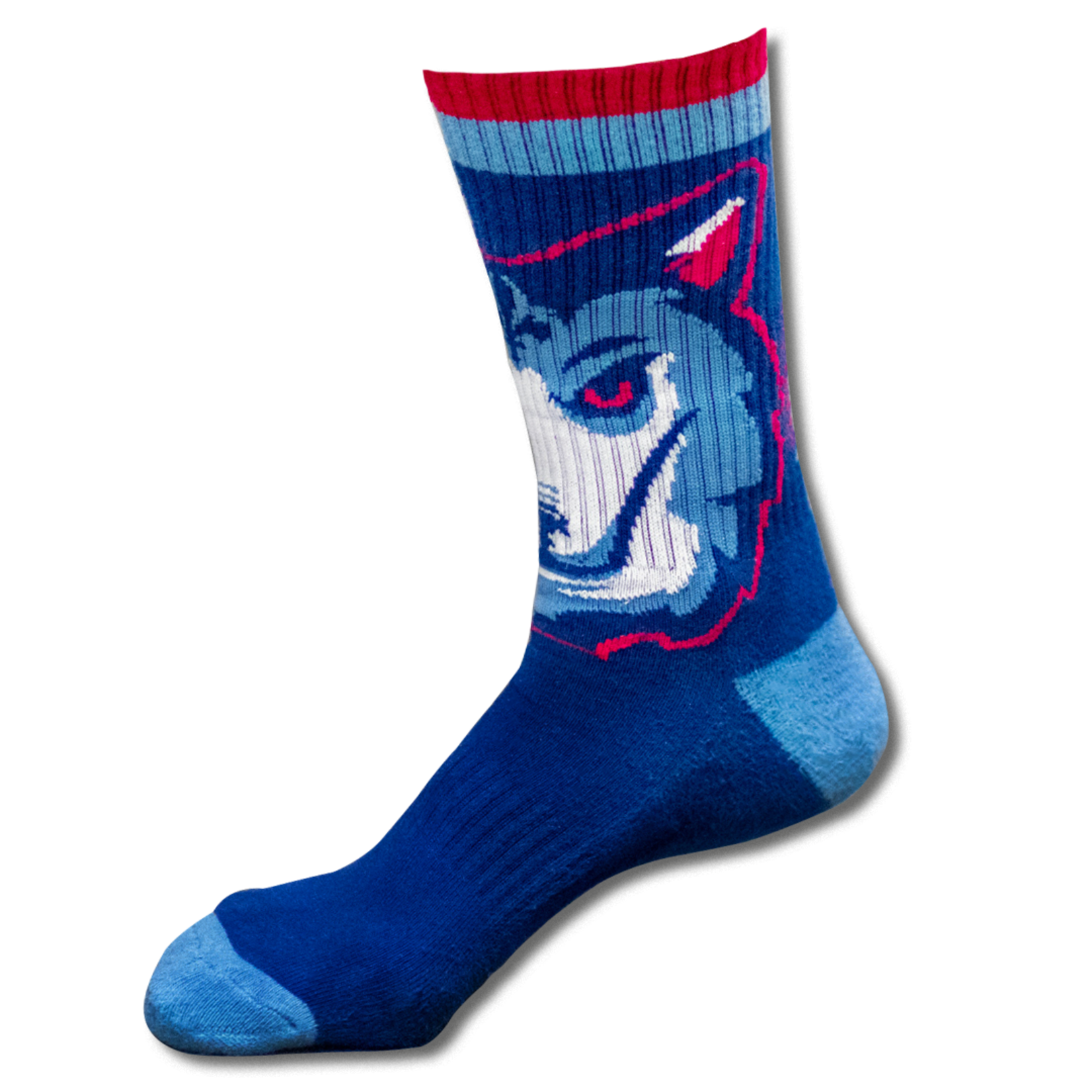 Montréal Alliance Socks