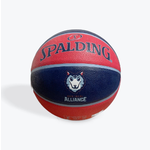 Montreal Alliance x Spalding Special Edition Basketball