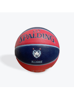 Montreal Alliance x Spalding Special Edition Basketball
