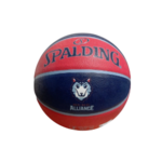 Montreal Alliance Spalding Basketball
