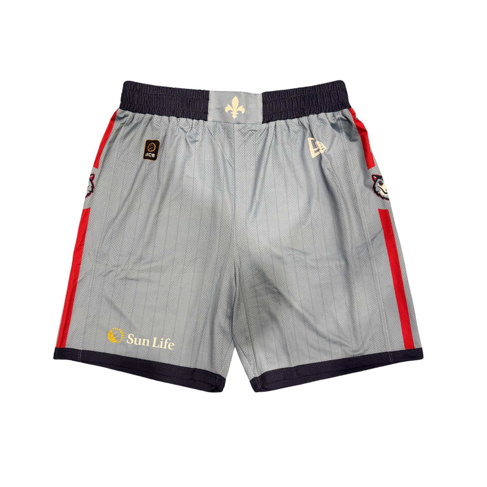 Light blue official game shorts - 2026