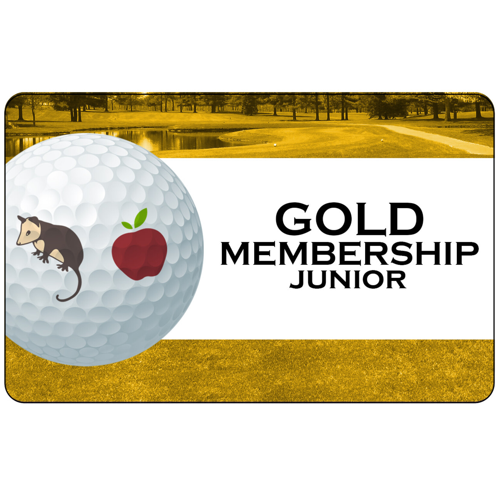 Gold Membership (Junior)