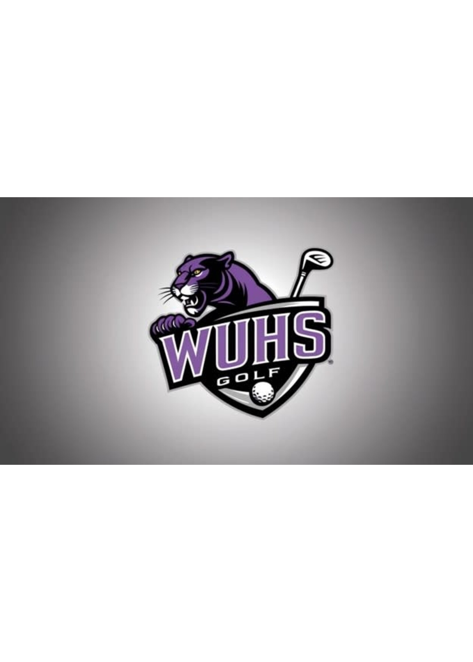 Panther Team Entry Fee