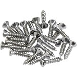 FENDER Fender Chrome Pickguard and Control Plate Mounting Screws 1/2" Phillips Head-Pack of 24