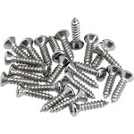 FENDER Fender Chrome Pickguard and Control Plate Mounting Screws 1/2" Phillips Head-Pack of 24