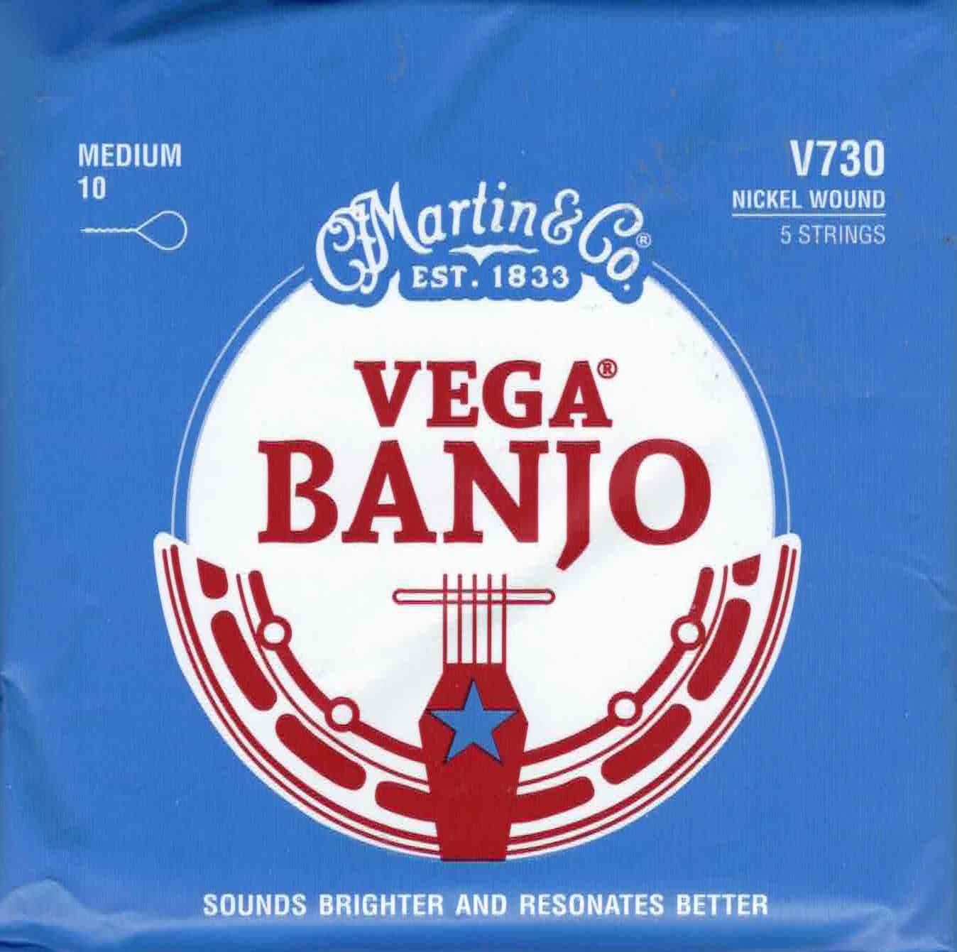 Martin V730 Vega 5-String Banjo Strings Loop End - Medium