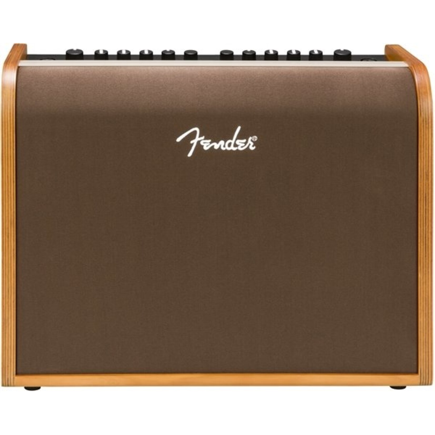 Fender Acoustic 100 Acoustic Guitar Amp